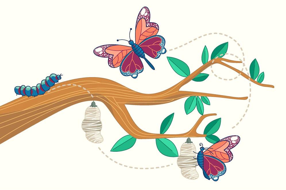 How HR Roles Are Shifting in the Modern Era